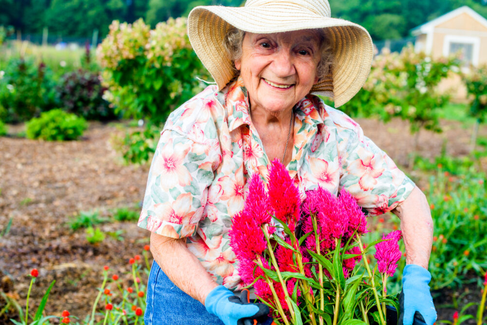 Voici les bienfaits du jardinage pour la santé des seniors