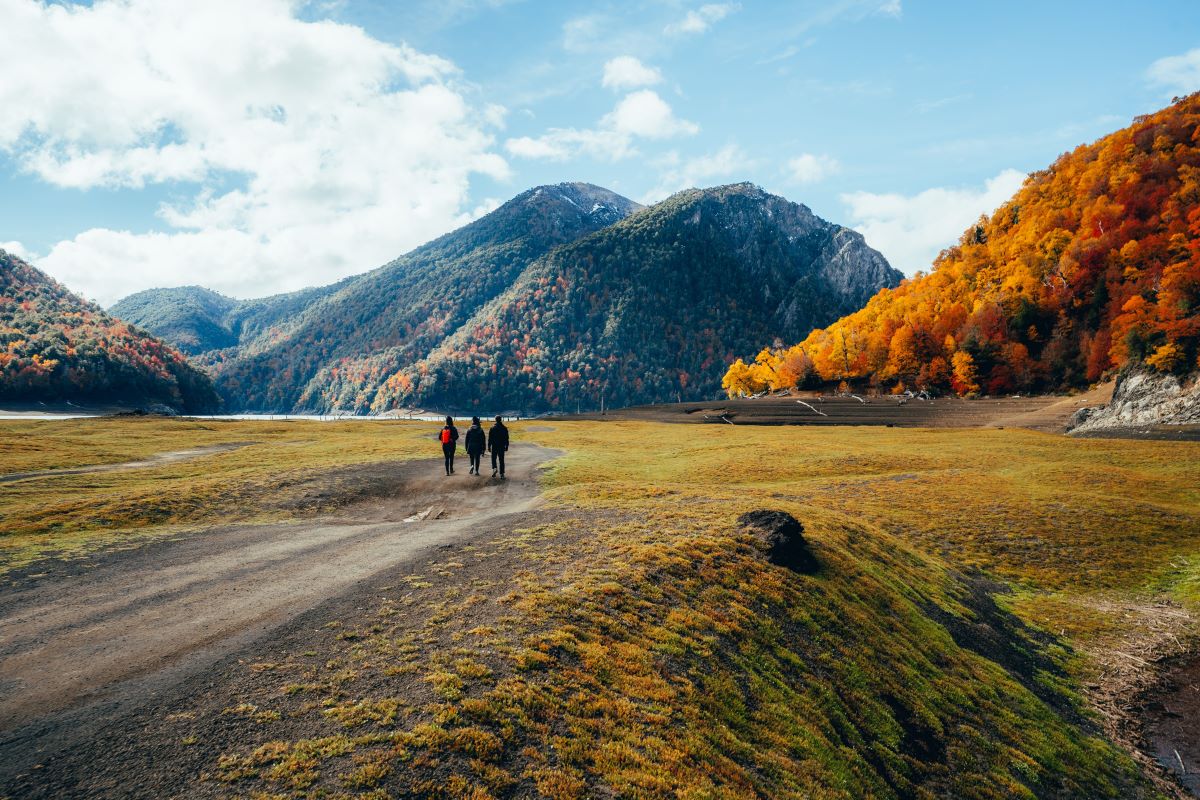 Quel est l’intérêt de voyager en Patagonie à Temuco pour les amoureux de la nature ?