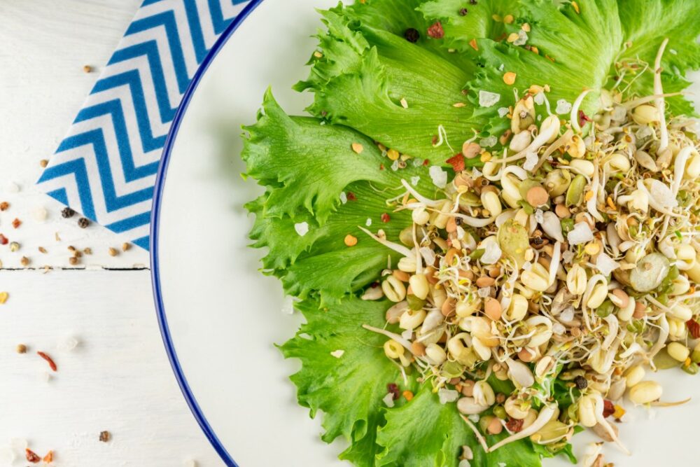 La recette de la salade de haricots germés