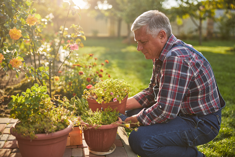 améliorer jardinage