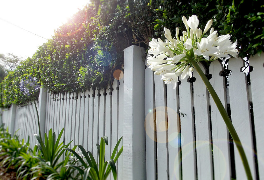 Conseils pour choisir la bonne clôture pour votre jardin