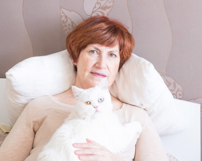 Chat qui miaule tout le temps comment le comprendre