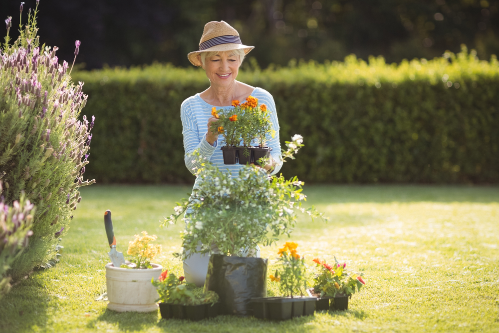 11 Solutions créatives pour votre petit jardin