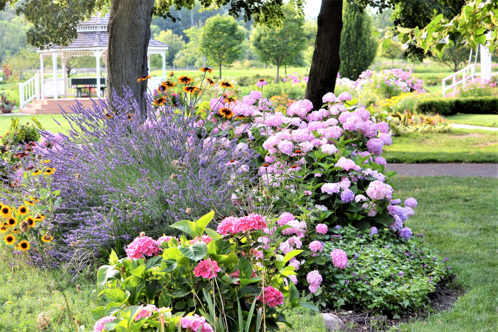 10 idées de petits jardins de fleurs pour construire une retraite sereine dans la cour