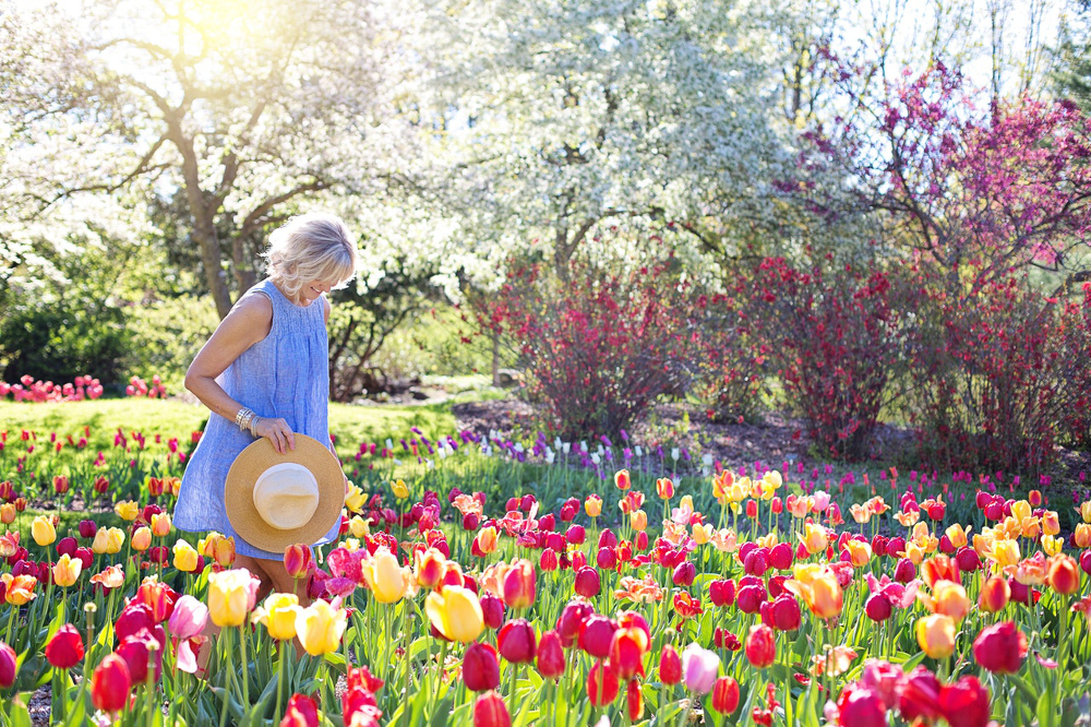 5 façons créatives d’insuffler une nouvelle vie à votre jardin