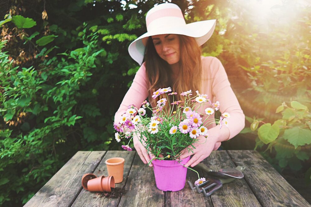 7 façons de garder votre jardin en bonne santé