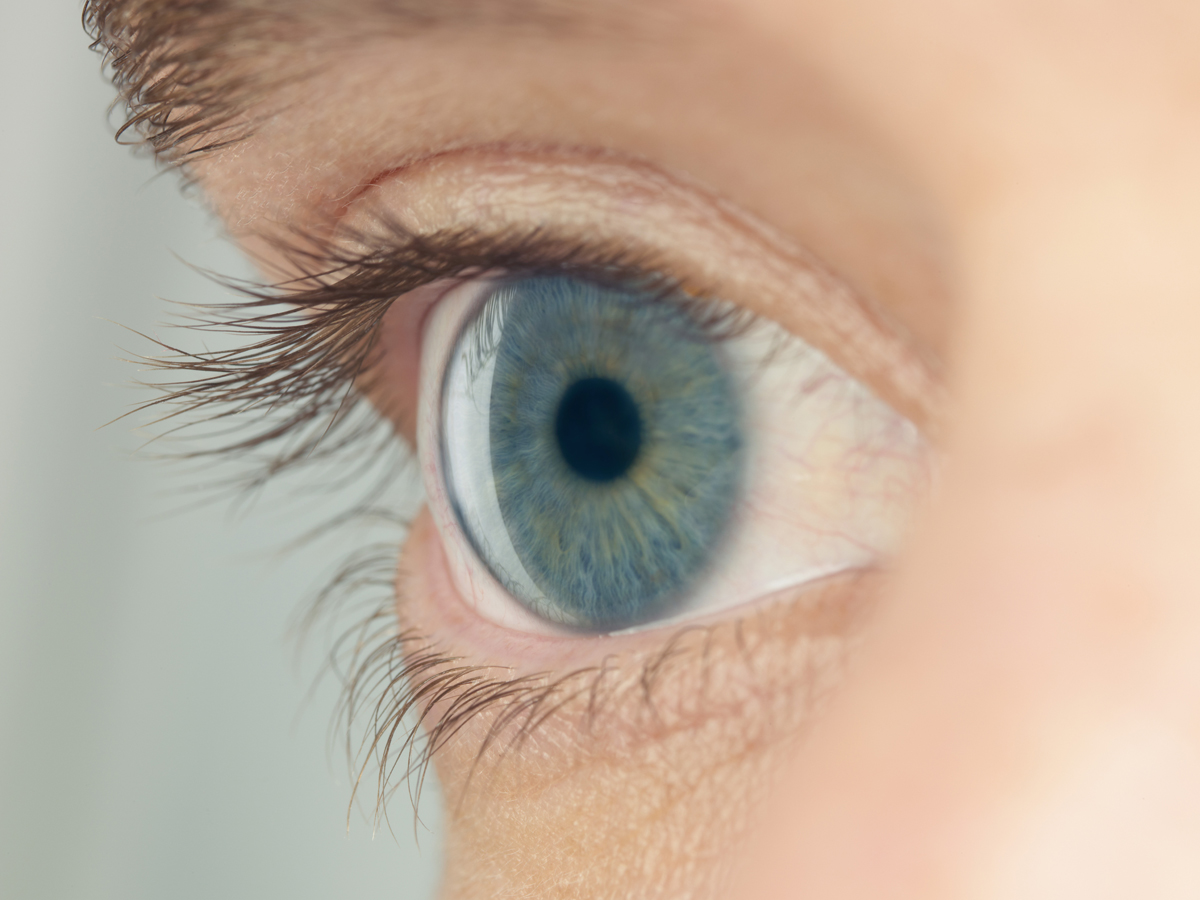 Quelles sont les lentilles les plus adaptées pour les personnes atteintes de myopie