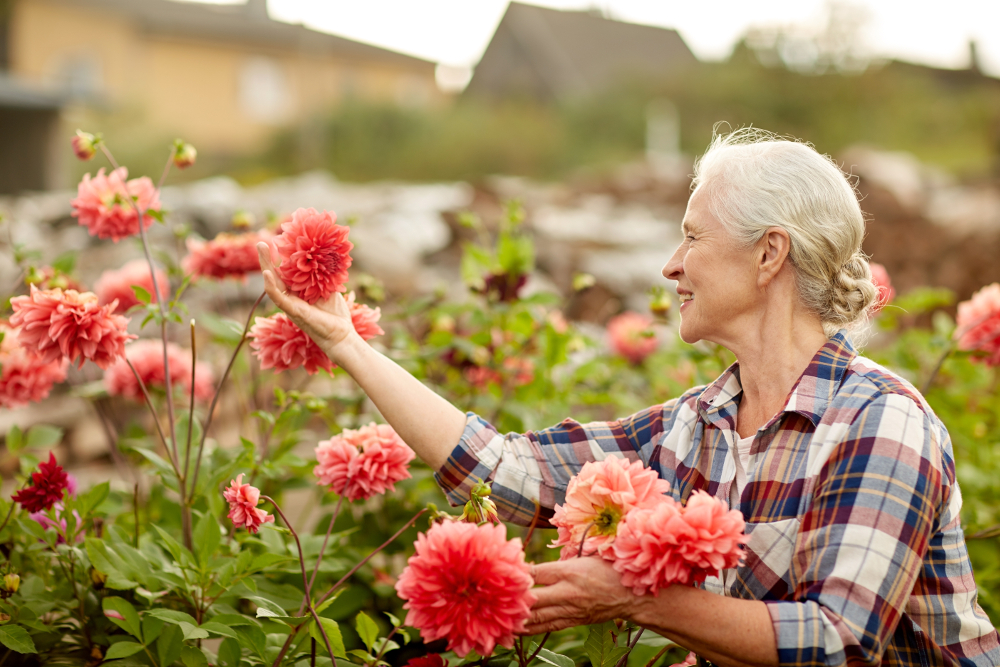 Ce qui fait pousser les plantes – Les facteurs importants