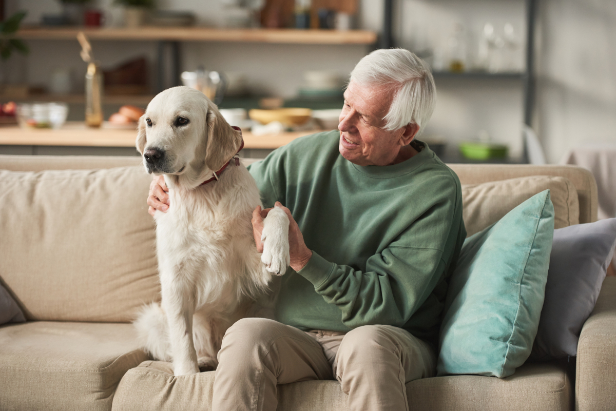 Comment s’occuper d’un chien âgé ?