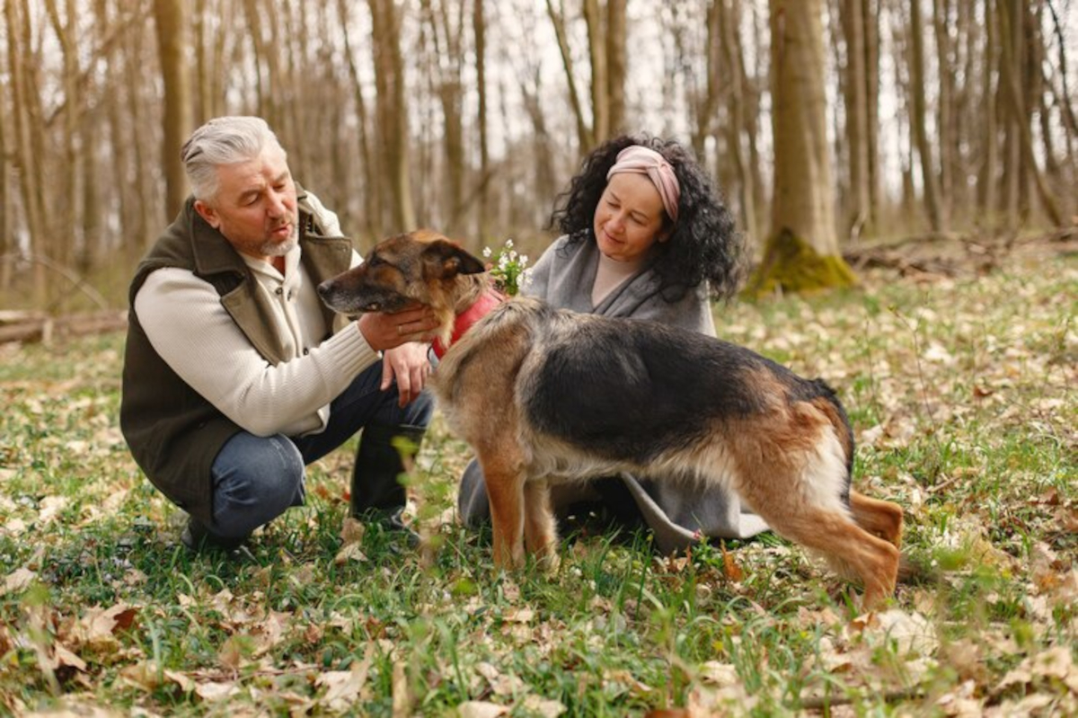 Les solutions à adopter quand un chien mord son maître